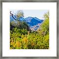 Deep Desert Valley In A Sonoran Desert Spring Framed Print