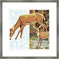 Deer Drinking Framed Print