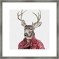 Deer In Leather Framed Print