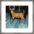 Deer In The Headlights Framed Print