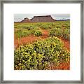 Desert Blooming In Castle Valley Utah Framed Print