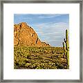 Desert Mountain Cactus Classic Framed Print
