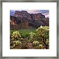 Desert Mountains And Cactus Framed Print