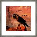 Desert Raven Framed Print