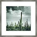 Desert Storm In Arizona Framed Print