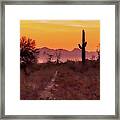 Desert Sunrise Trail Framed Print