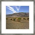 Devils Cornfield Cropped View Framed Print