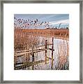 Dilapitated Old Jetty Framed Print