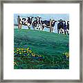 Distant Pastures Framed Print