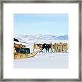 Dog Sled Framed Print