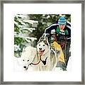 Dog Sled Racing Framed Print