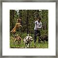 Dogs Playing Framed Print