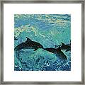 Dolphins Surf Framed Print