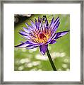 Dont Bug Me Framed Print