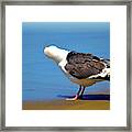 Don't Take My Picture Framed Print