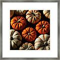 Dramatic Pumpkins #5 Framed Print