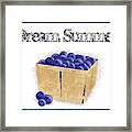 Dream Summer - Basket Of Blueberries Framed Print