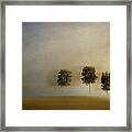 Dreaming With Trees Framed Print