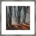 Dreamy Forest ....... Framed Print