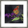 Drink Deeply Of This Moment Framed Print