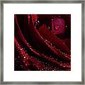 Droplets On The Edge Framed Print