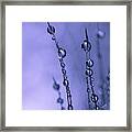 Drops Of Silver Framed Print