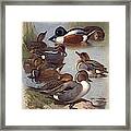 Duck Pond Framed Print