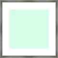 Dunn Edwards 2019 Curated Colors Pale Cactus - Pastel Green De5673 Solid Color Framed Print