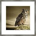 Eagle Owl Standing Full Length On A Rock Framed Print