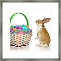 Easter Bunny And Basket Of Coloured Eggs Framed Print