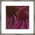 Echinacea Flower Blues Framed Print