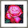 Electro Rose Framed Print