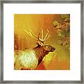 Elk In Autumn Framed Print
