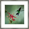 Emerald Symphony Framed Print