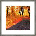 Emmaus Community Park Path - Colors Of Fall Framed Print