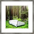 Empty Bed Standing In Bed Of Clovers In Framed Print
