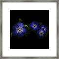 Enchanted Blues In Square Framed Print