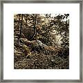 Enchanted Forest. Gothic Framed Print