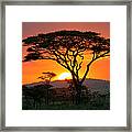 End Of A Safari-day In The Serengeti Framed Print