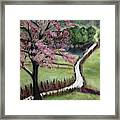 English Cherry Blossom Tree Framed Print