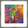 Even The Tree Is Glass On The Inside Framed Print