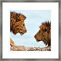 Face To Face Framed Print