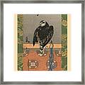 Falcon Framed Print