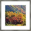 Fall Colors Along Avalanche Creek Road Framed Print