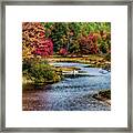 Fall Colors In Baxter State Park Framed Print