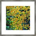 Fall Elm Leaves Framed Print