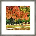 Fall In The Park Framed Print