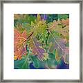 Fall In The Summer Framed Print