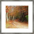 Fall Leaves On Path Framed Print