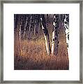 Fall Meadow Framed Print